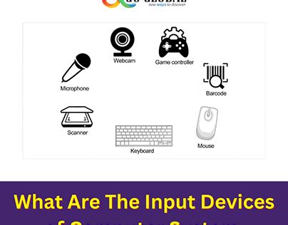 Display Input 的图像结果