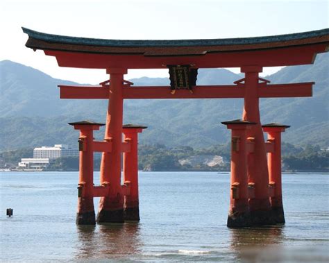 Image result for Shinto Tools