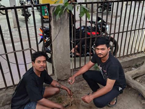 Vatsalya Seva Mitra Mandal Foundation Day Celebrated; 11 Tree ...