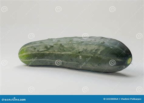 A Single Cucumber Sitting on a White Surface Stock Photo - Image of ...