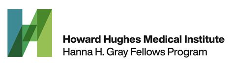 Image result for Concept Fox Lab GBC Lab Victor Lab