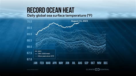 Beyond The Tides: How Climate Change Affects Ocean Health