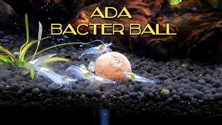 ADA Nature Aquarium Bacter Ball - Pack of 1 Ball – PetzLifeWorld