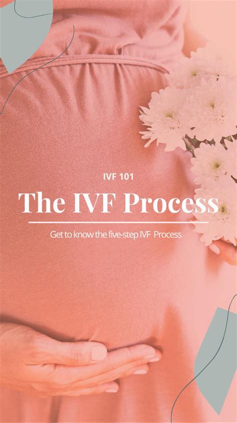 IVF Process Step by Step 的图像结果