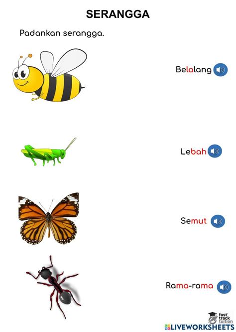 Image result for Learning Module Muckups