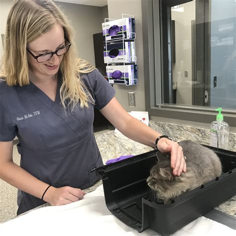 TimberCreek Veterinary Hospital - Manhattan, KS | Veterinarian ...