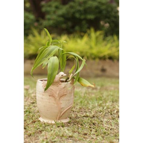 Buy Swadeh Chidiya Planter Online