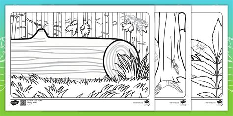 Microhabitat Colouring Sheets