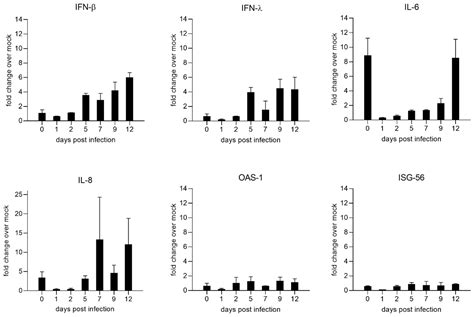 Analysis of Nipah Virus Replication and Host Proteome Response Patterns ...