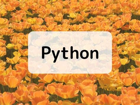 Image result for GIMP Python-Fu