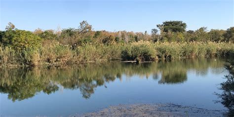 Groblersdal Tourism (2023): Best of Groblersdal, South Africa - Tripadvisor