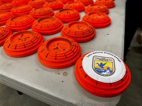 Image result for Exploding Clay