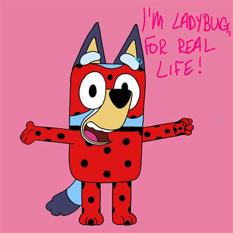 Image result for Real Ladybug