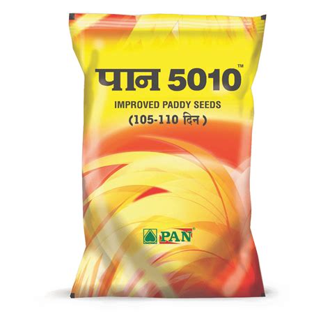 Buy High-Quality Improved Rice Seeds Online | Panseeds