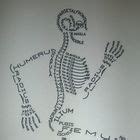 Image result for DNA Build