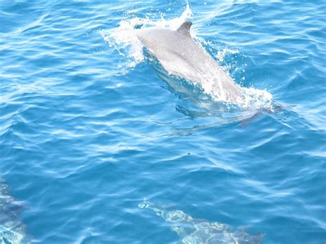 HOTEL CASA DON FRANCISCO (Zihuatanejo) - Hotel Reviews & Photos ...