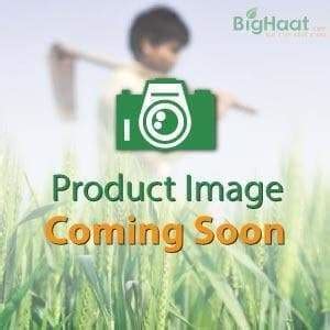 Buy Dekalb 9217 Corn Seeds Online At Best Price | BigHaat