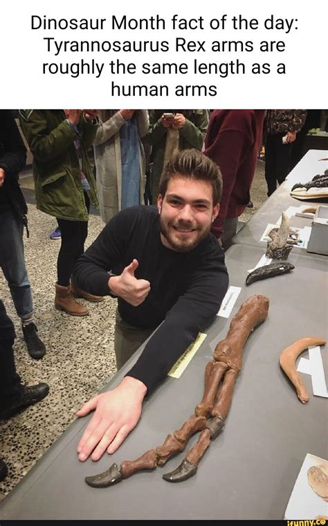 Dinosaur Month fact of the day: Tyrannosaurus Rex arms are roughly the ...