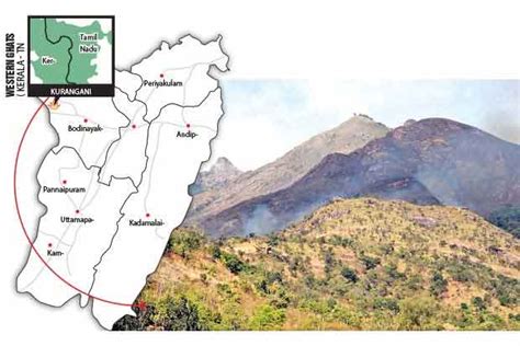 Toll in Kurangani forest fire rises to 20