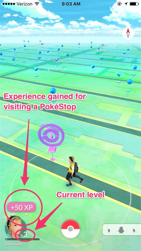 Image result for How to Play Pokemon Go Tutorial