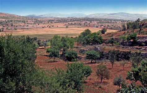 Shiloh was a city in the tribe of Ephraim