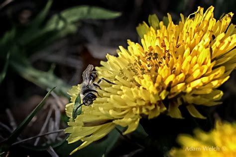 OnOne Perfect 8 1 Suite Tutorials 的图像结果