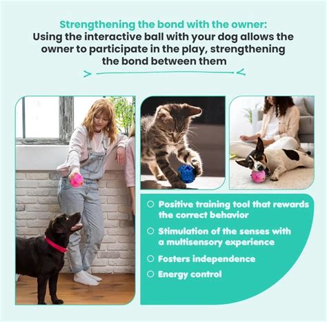 Giggle Interactive Squeaky Dog Ball, Funny Giggle Sound When Rolled or ...