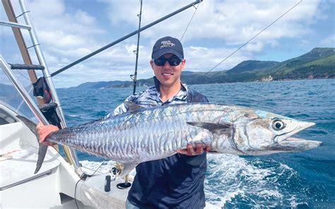 Spanish Mackerel - Species Guide