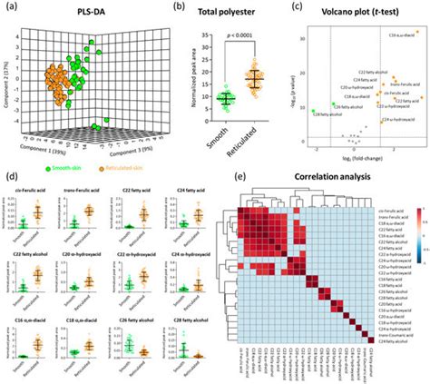Plants | Special Issue : Periderm (Cork) Tissue Development in Plants