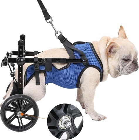 Amazon.com: Dog Wheelchair,Dog Wheelchair for Back Legs, 2023 ...