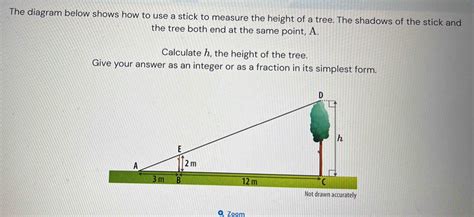 Image result for Proper Way to Measure the Height of a Tree Using a Tree Scale Stick