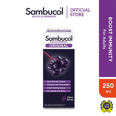 Sambucol Black Elderberry Original Syrup (250ml) | Shopee Malaysia