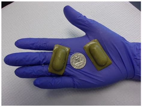 Oral Rabies Vaccination of Small Indian Mongooses (Urva auropunctata ...