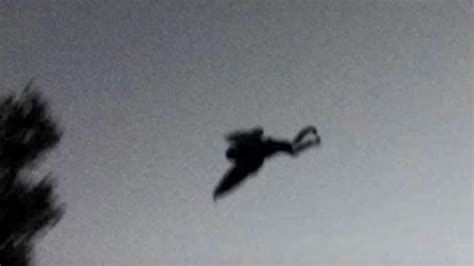 The Mothman returned after 50 years - then Chicago witnesses started ...