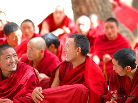 Tibet Religion 的图像结果