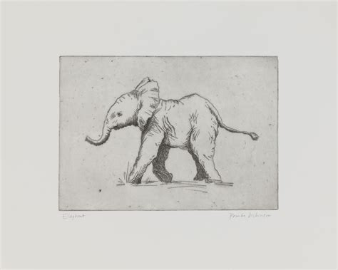 Elephant – Phoebe Dickinson