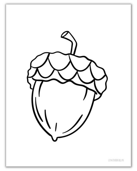 Acorn Coloring Pages For Preschoolers