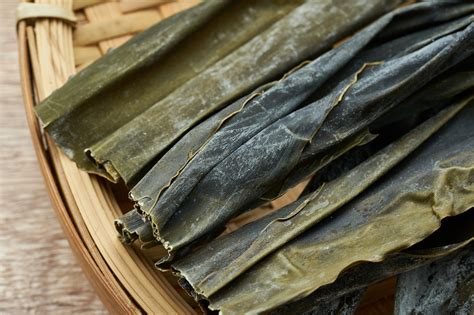 Can Daily Kombu Boost Men's Gut Health and Heart Markers? | WelshWave