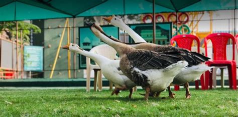 FortView Resort | Kids Zone