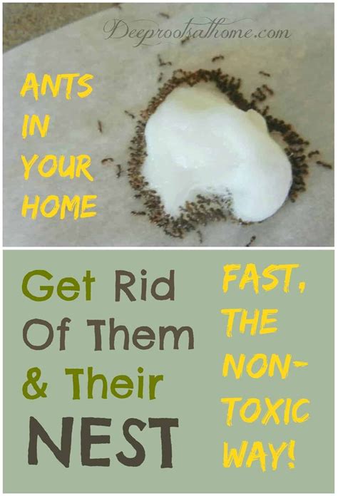 61 Awesome ideas | household hacks, cleaners homemade, diy cleaning products