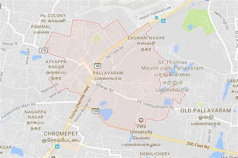 Pallavaram residents flood MLA with flurry of plaints
