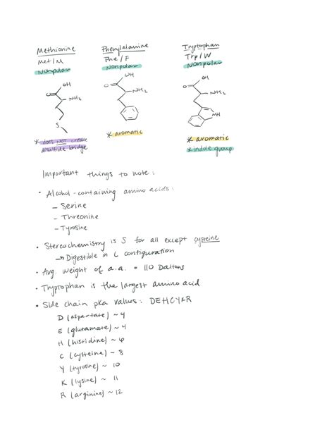 MCAT Amino Acids quiz and what amino acids do you need to know for MCAT ...