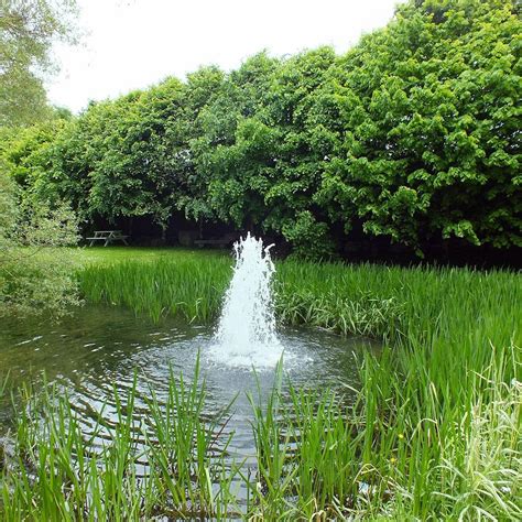 BURREN BIRDS OF PREY CENTRE Guide (2026) All You Need to Know BEFORE ...