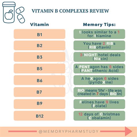 Vitamin B Complex Chart: Your Complete Guide To Daily Needs