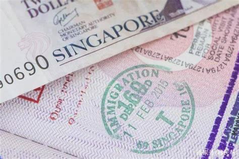 2023新加坡电子入境卡申请攻略（电脑端）_楹进集团