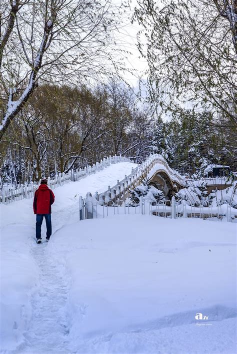 今年入冬第一场雪（13）-中关村在线摄影论坛