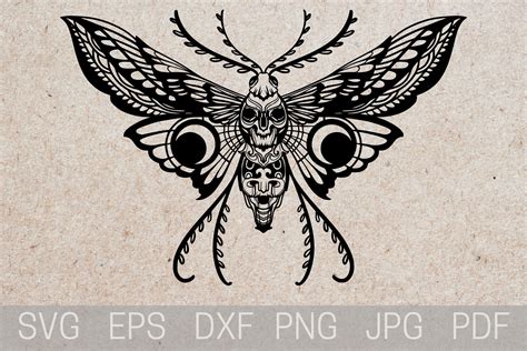 Traditional Moth Tattoo Drawing