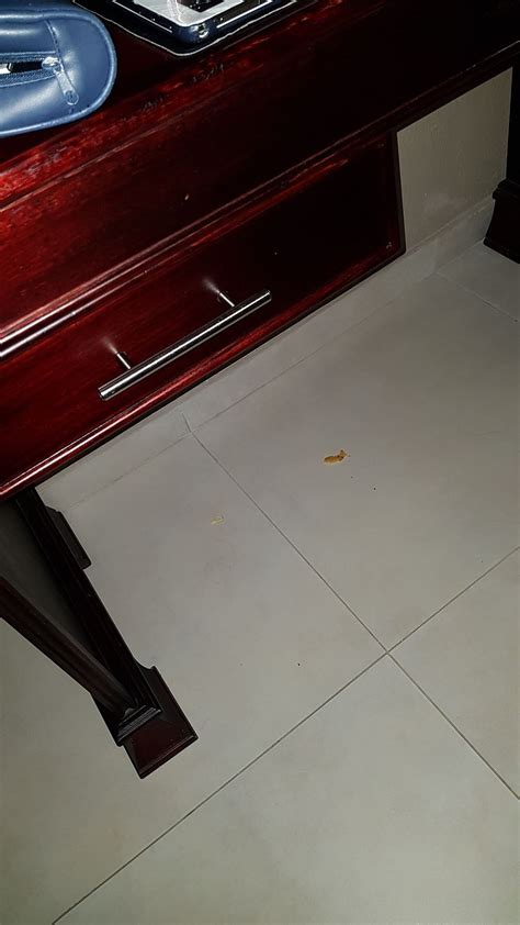 NDALO HOTEL AND CONFERENCING, BADPLAAS (Nelspruit, Africa) - Hotel ...