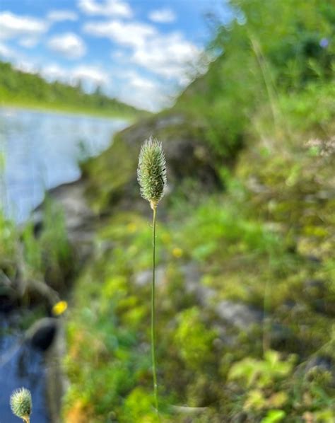Atlantic Canada Conservation Data Centre (@atlantic_canada_cdc ...