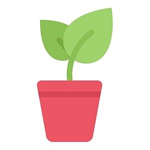 Rolling Nature Bulby Jade Succulent : Amazon.in: Garden & Outdoors